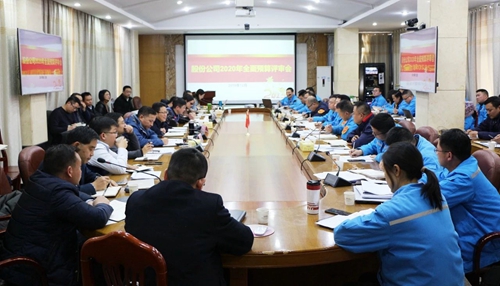 王大真調(diào)研指導(dǎo)股份公司、化機(jī)公司和TMP新項(xiàng)目2020年財(cái)務(wù)預(yù)算工作(圖1)