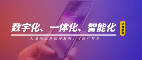 線上辦公零接觸！松滋肥業(yè)信息化在戰(zhàn)“疫”之中顯身手(圖1)