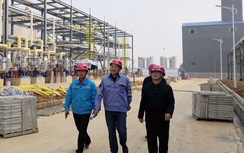 王大真到松滋肥業(yè)、楚星公司、新材料公司和股份公司現(xiàn)場(chǎng)調(diào)研(圖3)