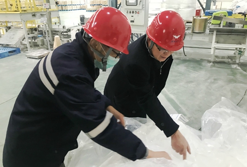 王大真到新材料公司、TPO項目現(xiàn)場和股份公司檢查工作(圖1)