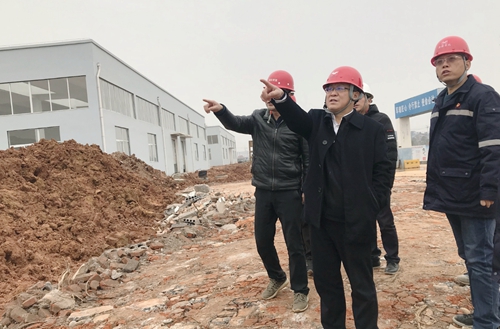 王大真到新材料公司、TPO項目現(xiàn)場和股份公司檢查工作(圖2)