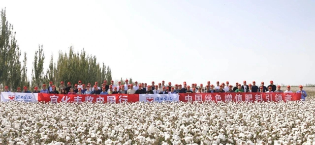 宜化豐收中國行！新疆棉花大型測產(chǎn)觀摩會(huì)成功舉行
