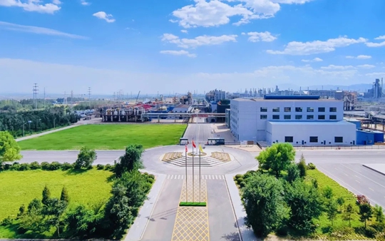 內(nèi)蒙古宜化榮獲自治區(qū)科學技術(shù)進步二等獎(圖1)