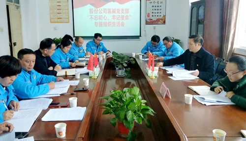向宇飛列席指導(dǎo)股份公司氯堿黨支部“不忘初心、牢記使命”專題組織生活會(huì)