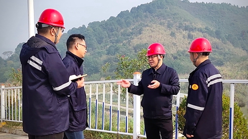 王大真到松滋肥業(yè)、楚星公司、新材料公司和股份公司現(xiàn)場(chǎng)調(diào)研