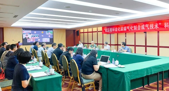 通過鑒定！新疆宜化一項技術(shù)達國際領(lǐng)先水平！